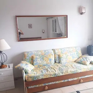 aparthotel-paraiso-del-sur.in-canary-islands.com/